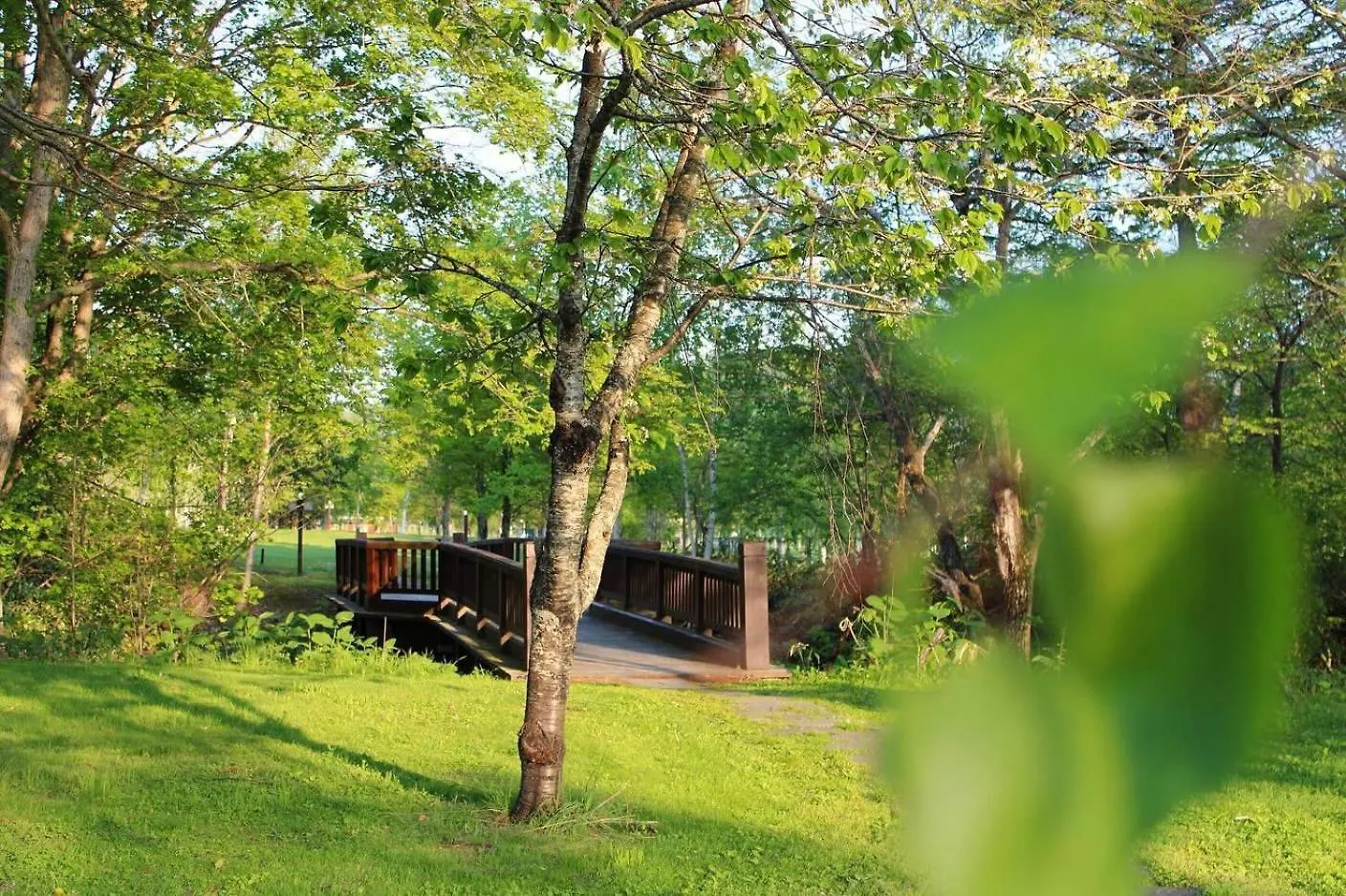 Log Hotel The Maple Lodge Iwamizawa